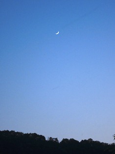 the moon.JPG